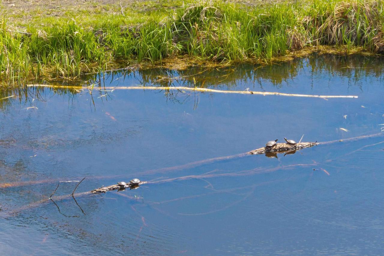 W1893 Duck Creek Avenue