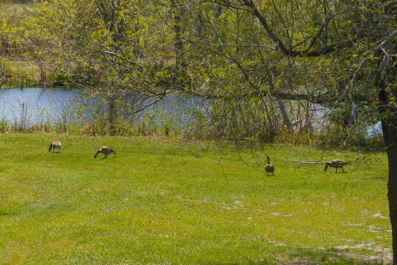 W1893 Duck Creek Avenue