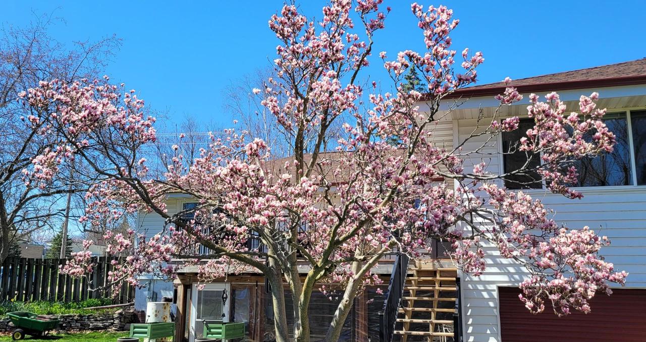 614 North Lawson Drive