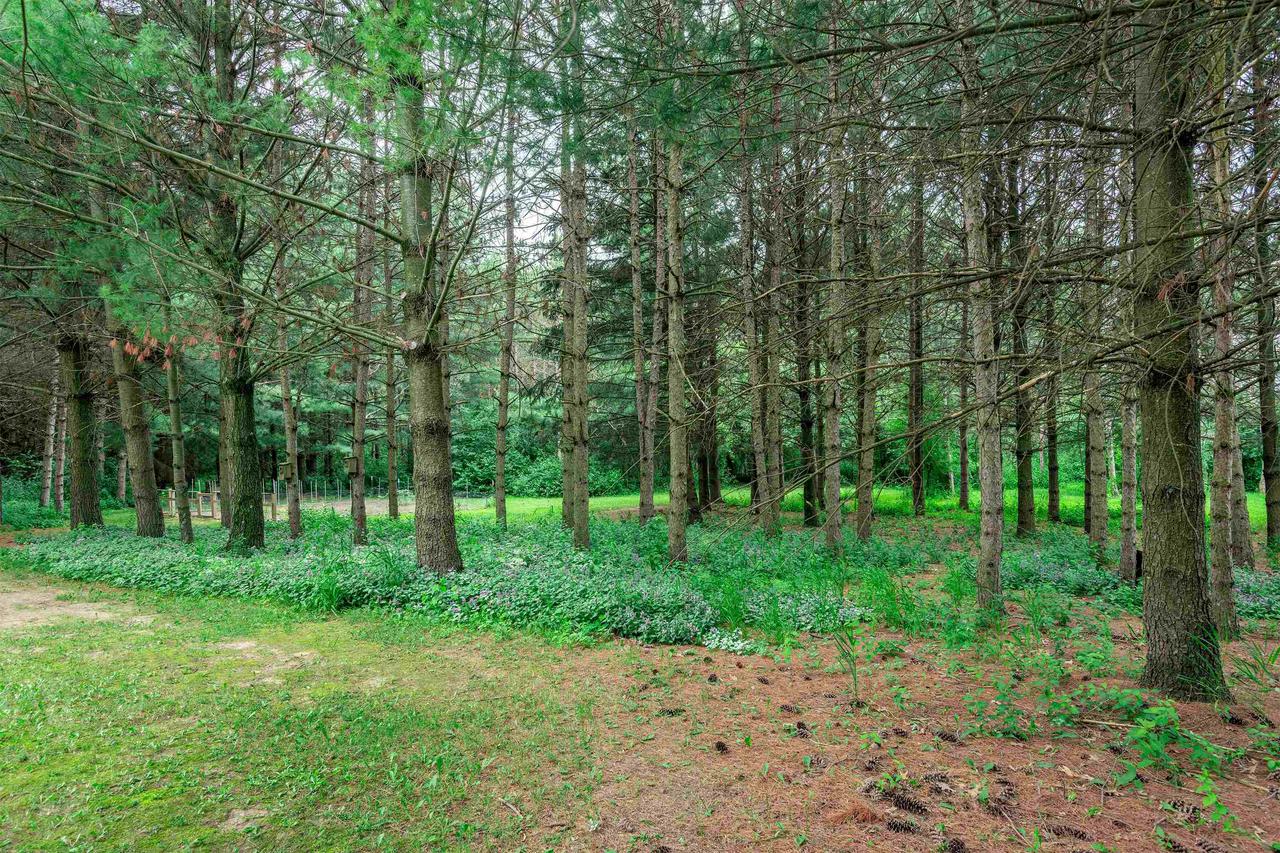 W651 Brooklyn J Road