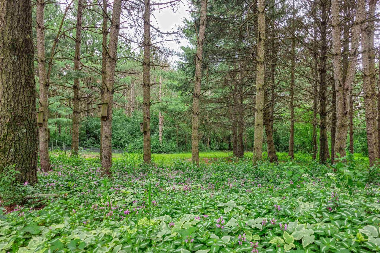 W651 Brooklyn J Road