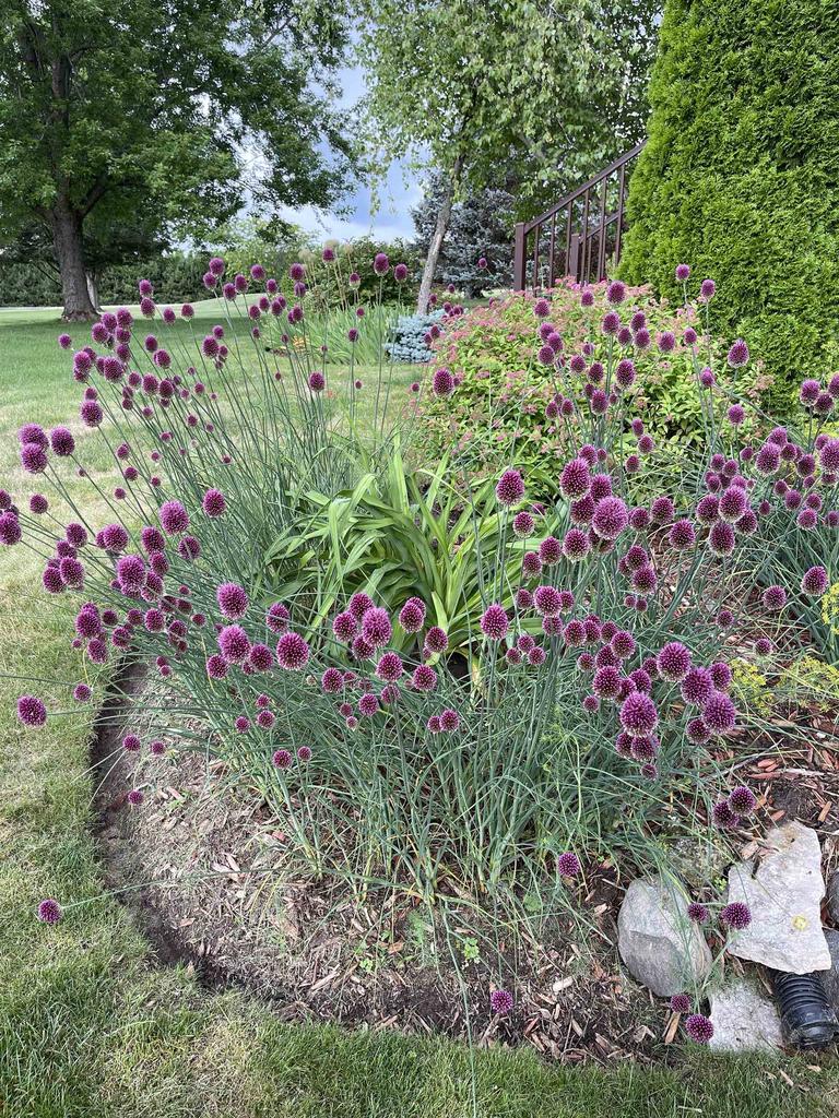 W2035 Taylor Lee Lane