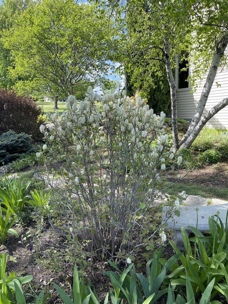 W2035 Taylor Lee Lane