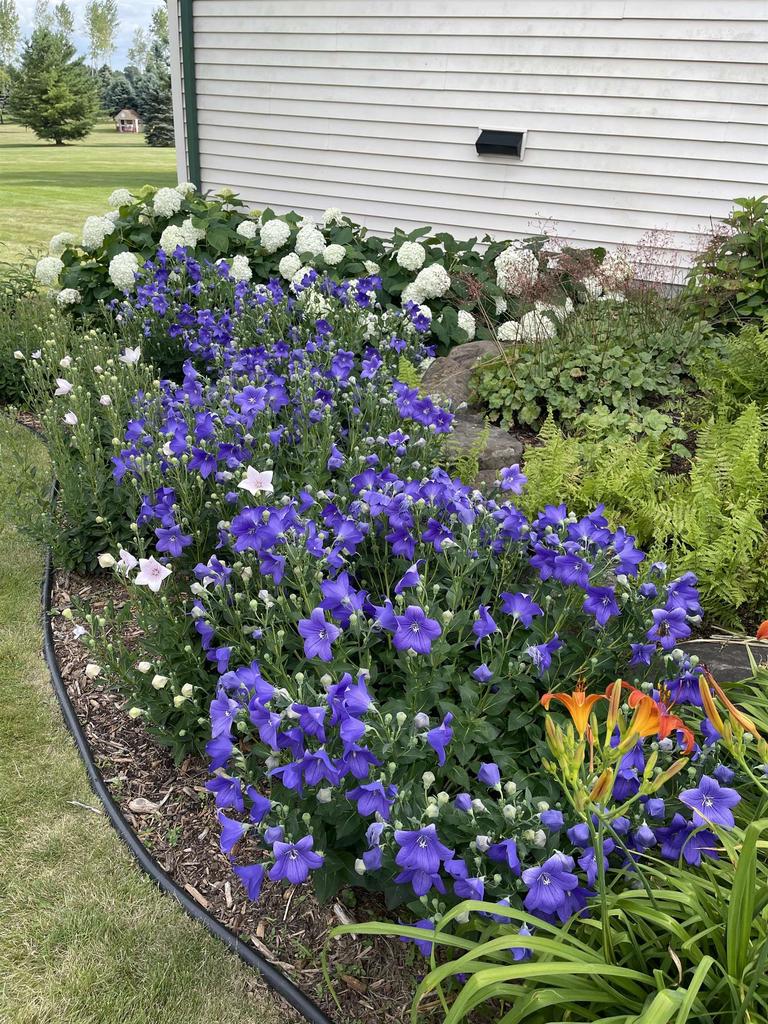 W2035 Taylor Lee Lane