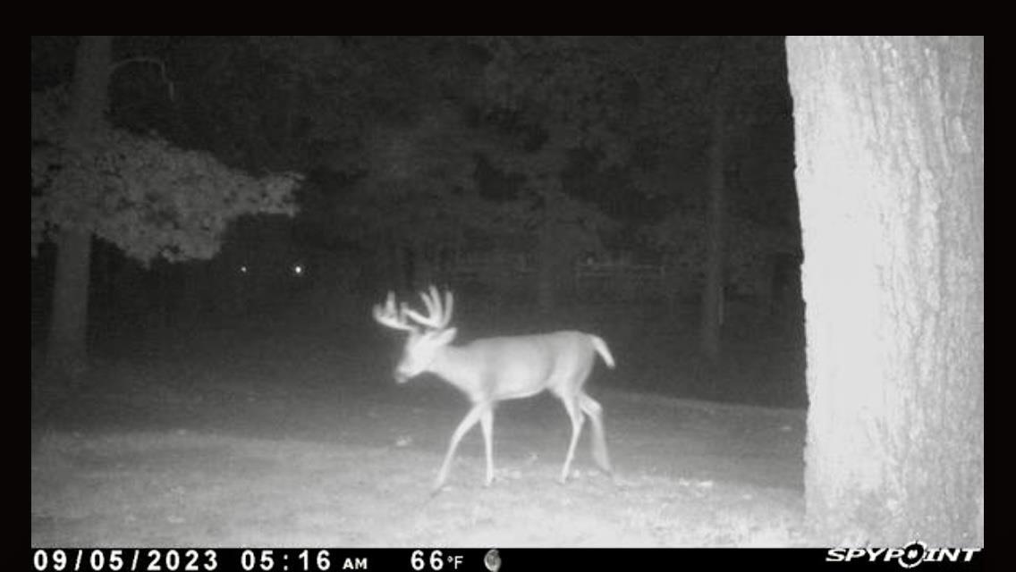 N5020 Sugar Loaf Road