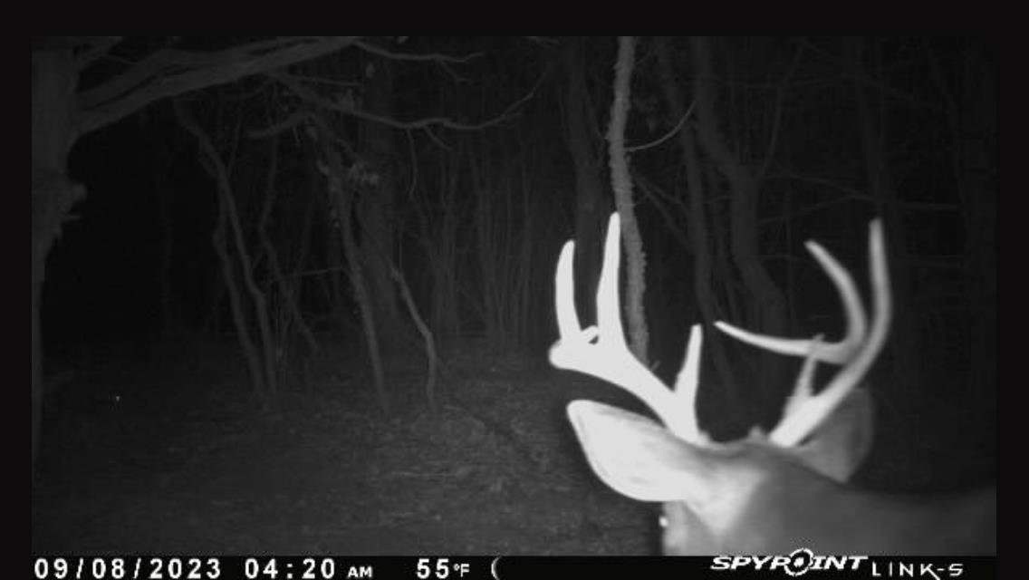 N5020 Sugar Loaf Road