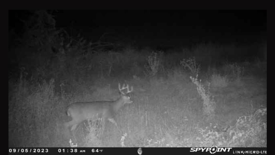 N5020 Sugar Loaf Road