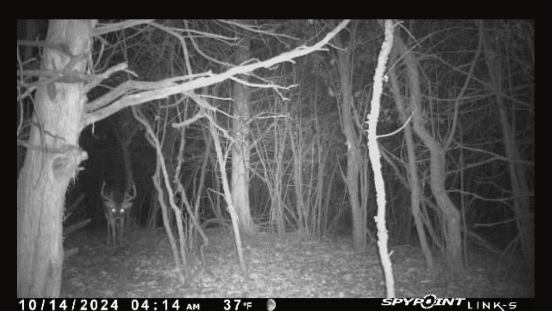 N5020 Sugar Loaf Road