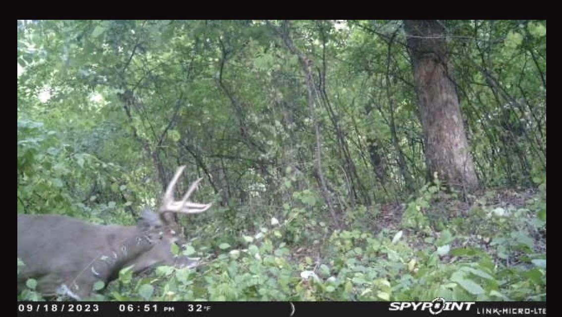 N5020 Sugar Loaf Road