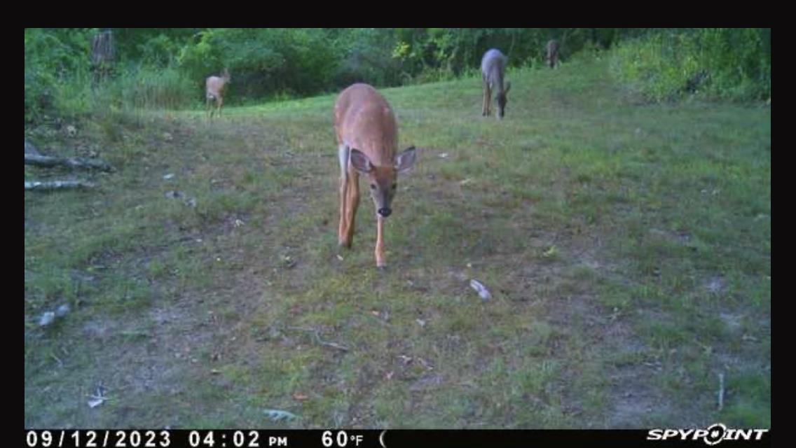 N5020 Sugar Loaf Road