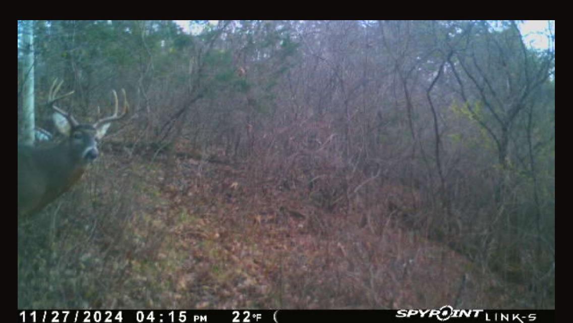 N5020 Sugar Loaf Road