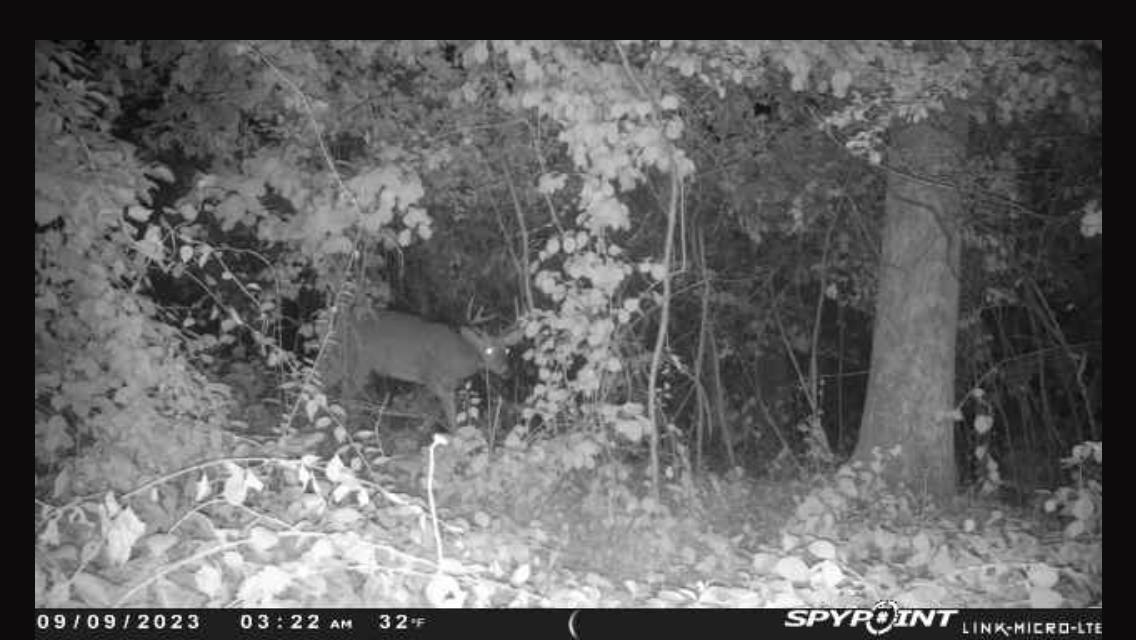 N5020 Sugar Loaf Road