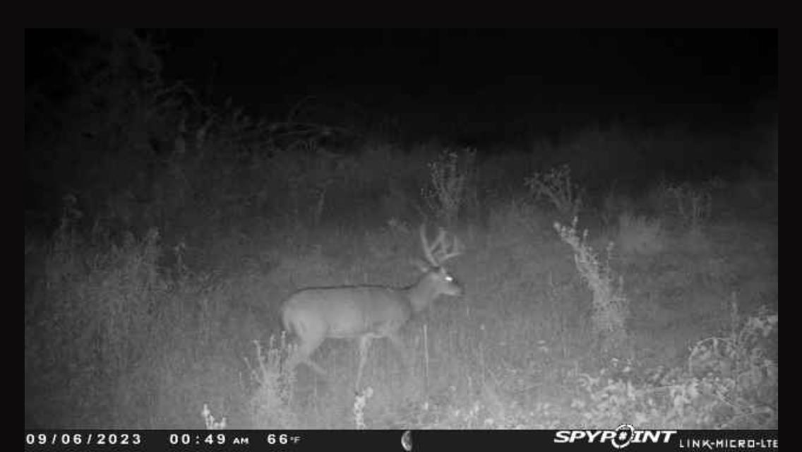 N5020 Sugar Loaf Road