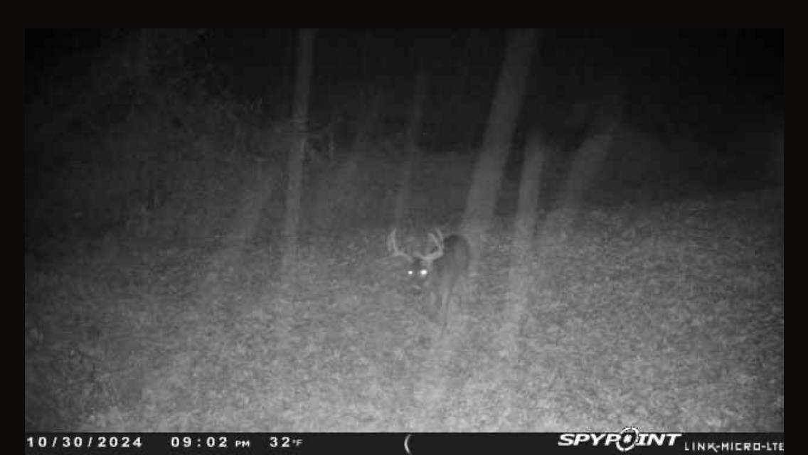 N5020 Sugar Loaf Road