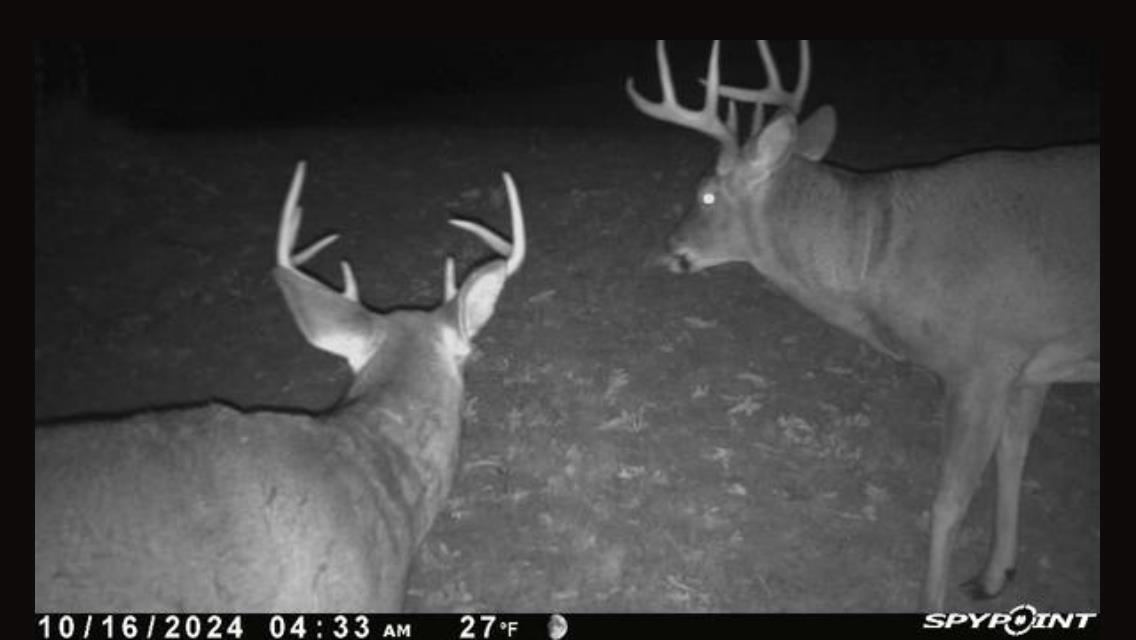 N5020 Sugar Loaf Road