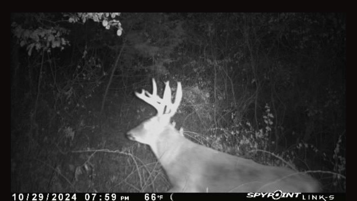 N5020 Sugar Loaf Road