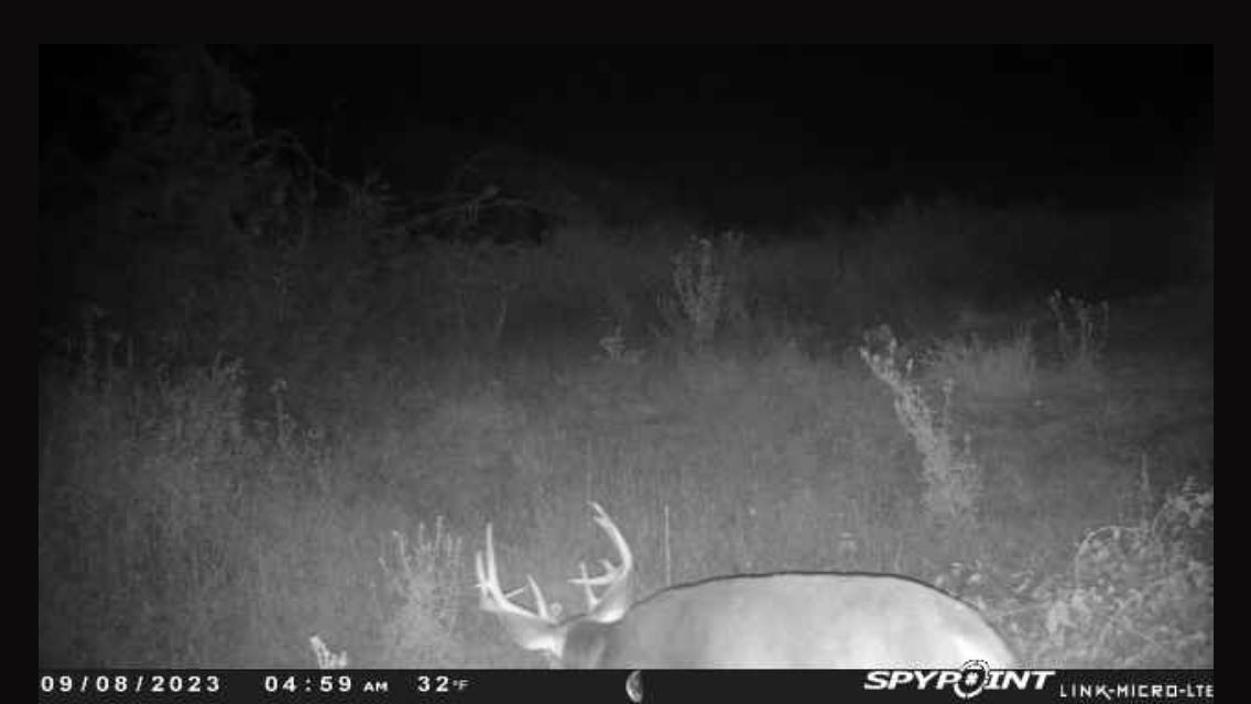 N5020 Sugar Loaf Road