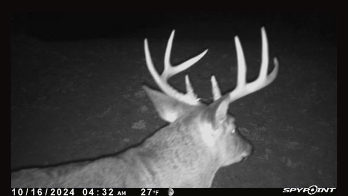 N5020 Sugar Loaf Road