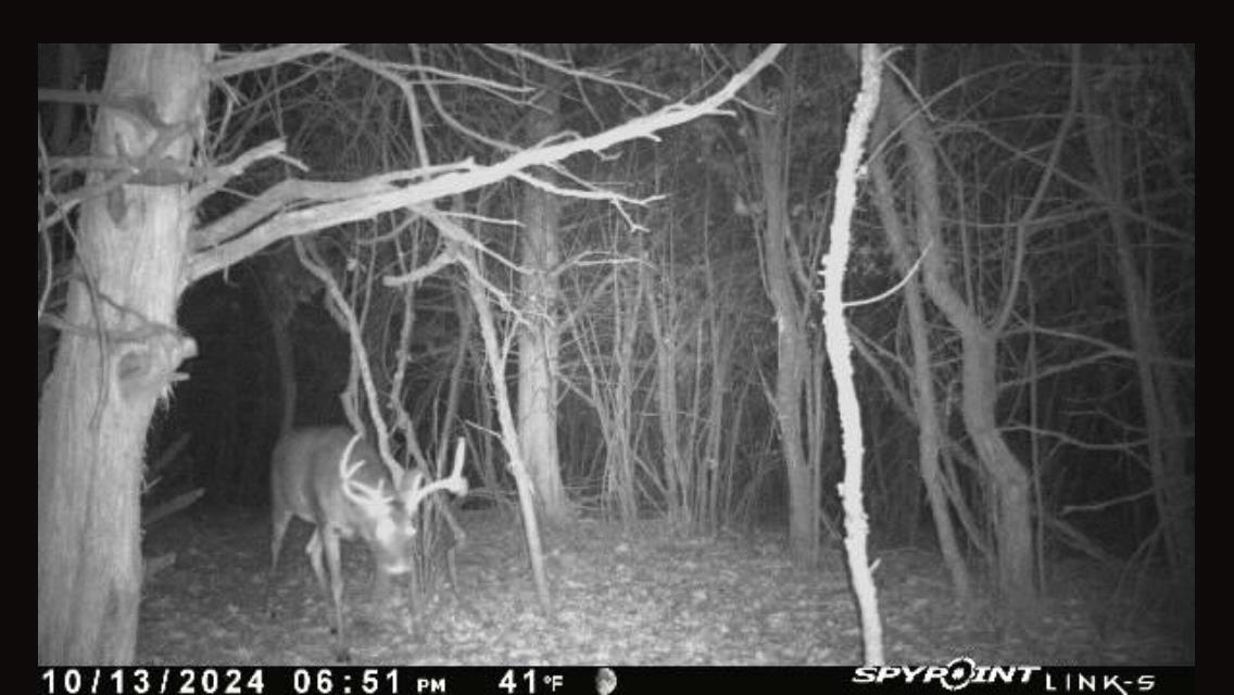 N5020 Sugar Loaf Road