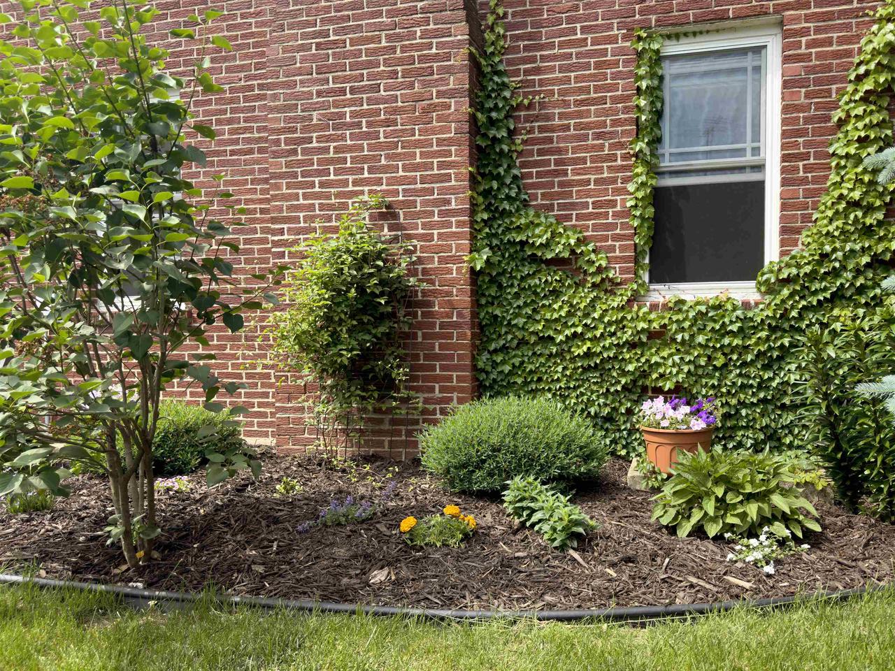 673 South Grove Street