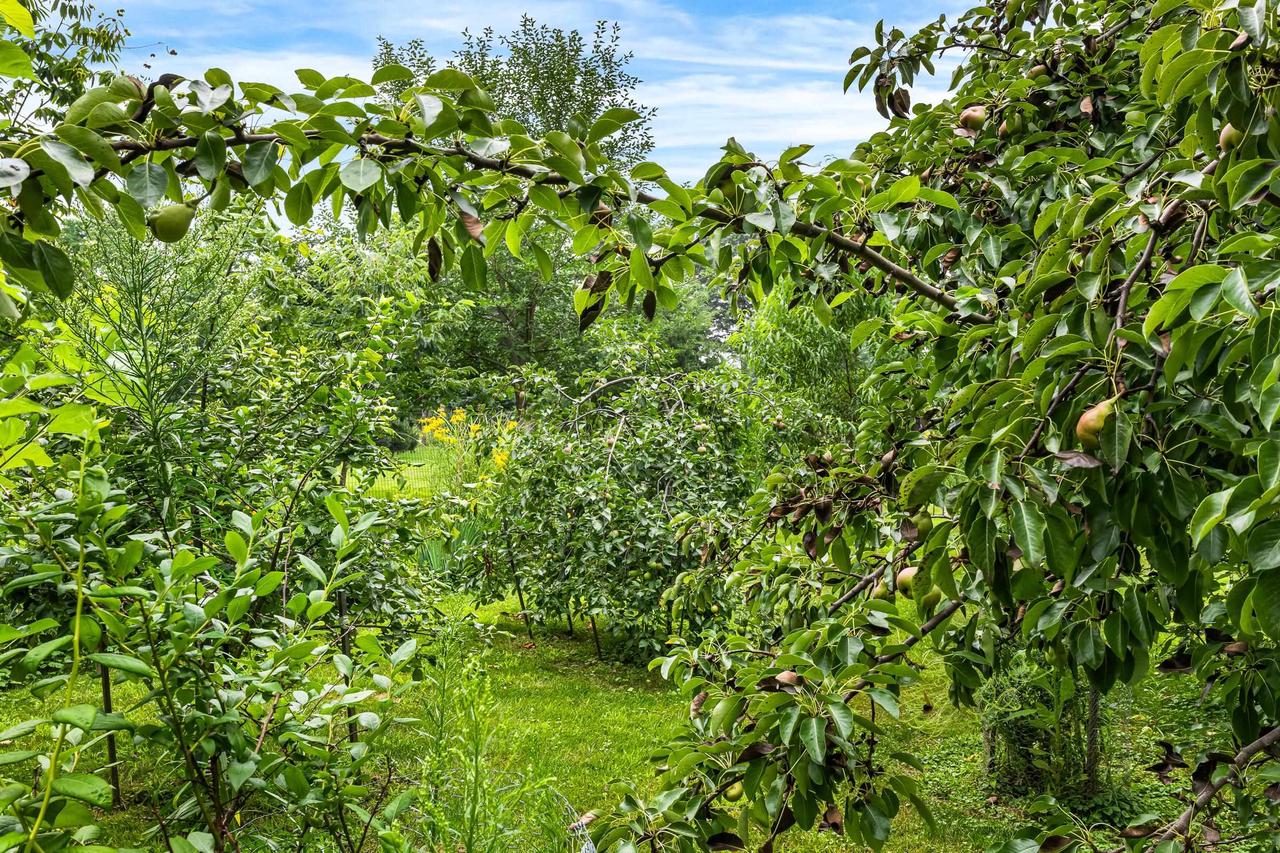 W2009 Irving Park Road