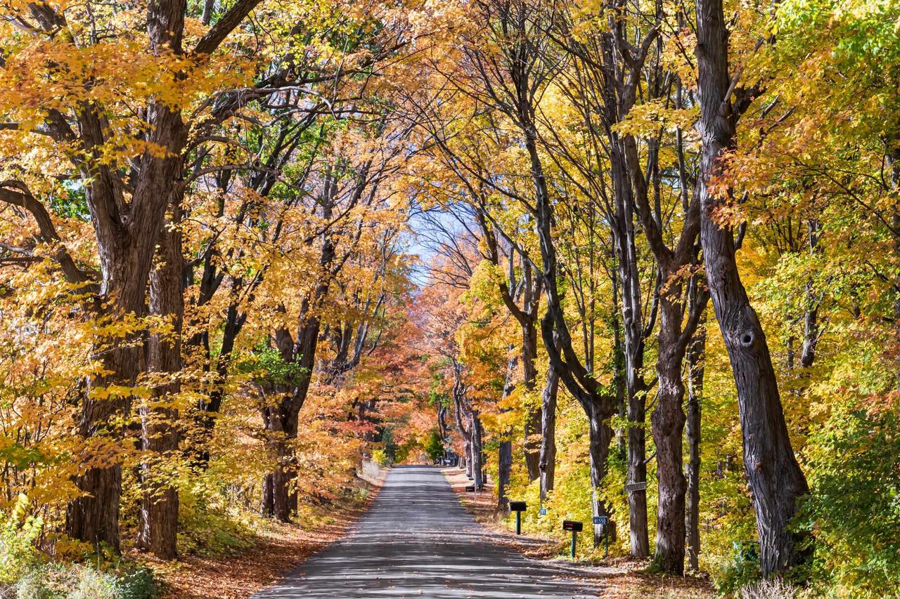 W1769 Sandstone Avenue