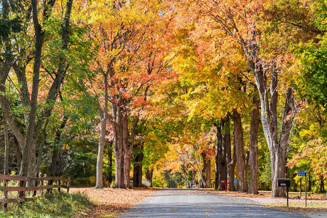 W1769 Sandstone Avenue