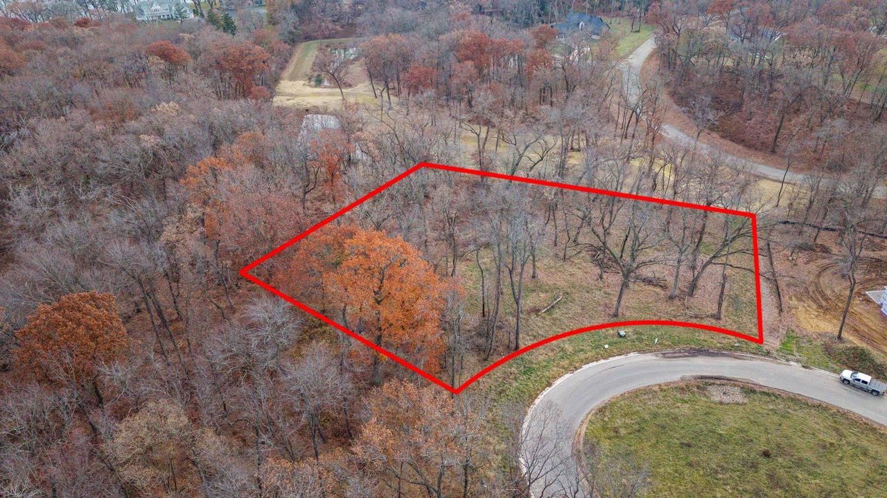 L46 & 47 Savanna Woodland