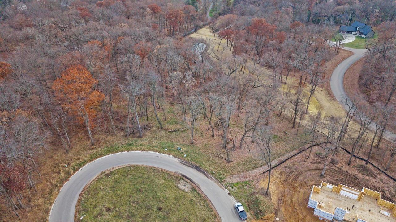 L46 & 47 Savanna Woodland