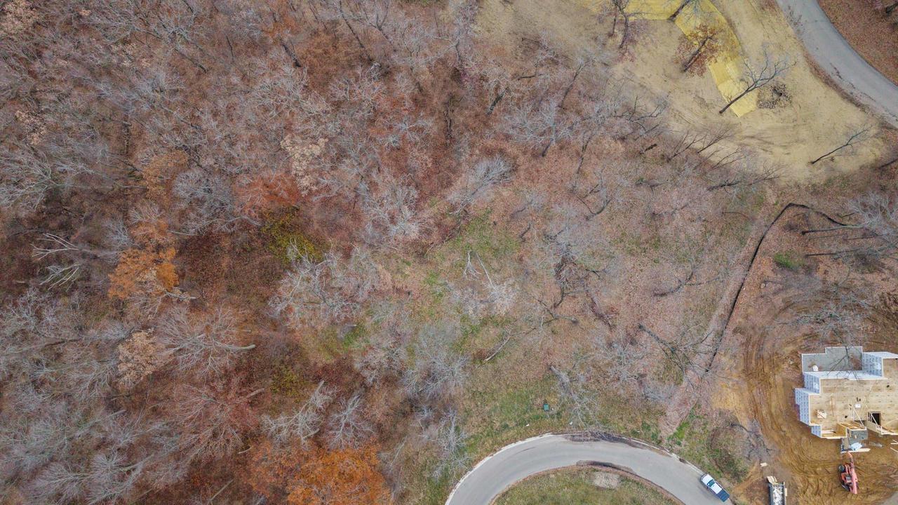 L46 & 47 Savanna Woodland