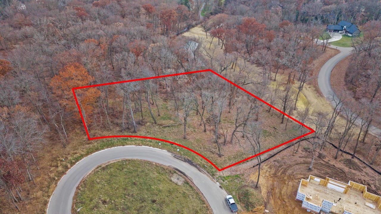 L46 & 47 Savanna Woodland