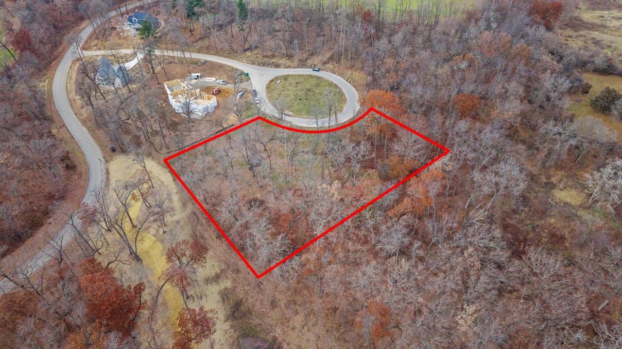 L46 & 47 Savanna Woodland