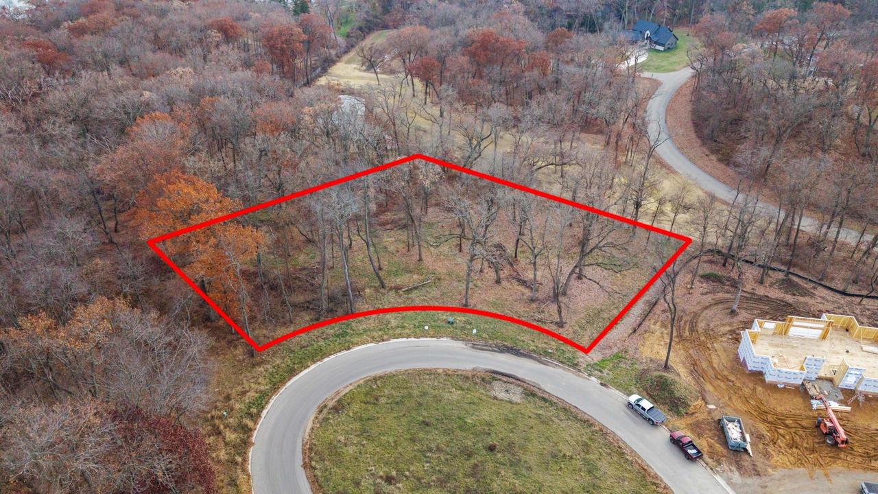 L46 & 47 Savanna Woodland