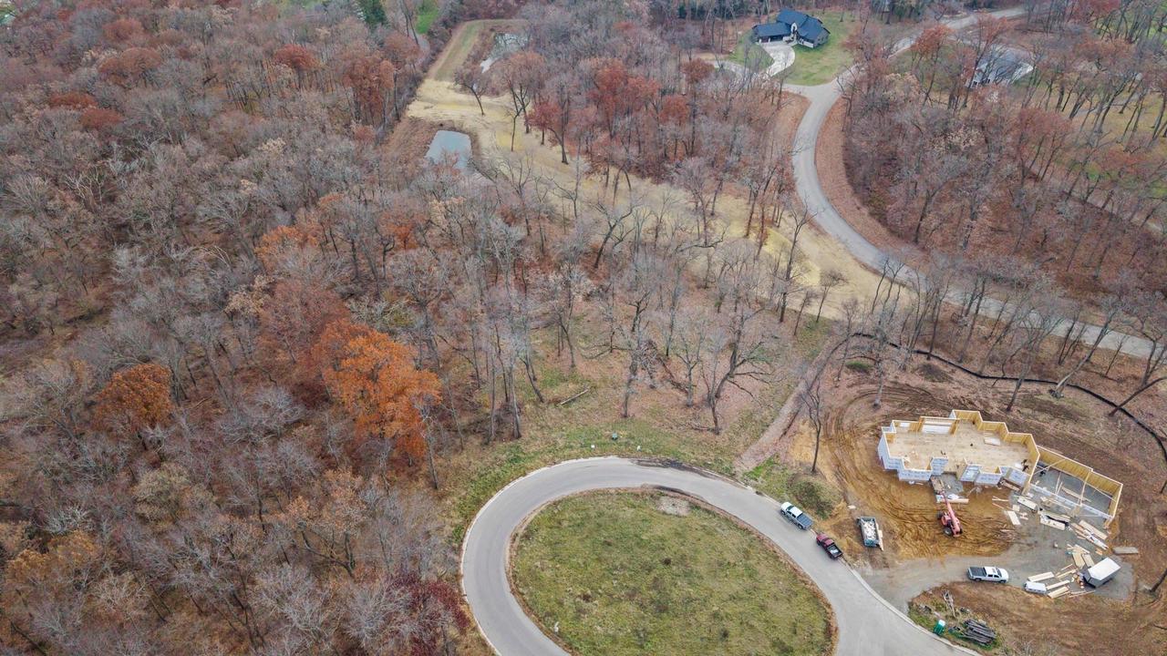 L46 & 47 Savanna Woodland