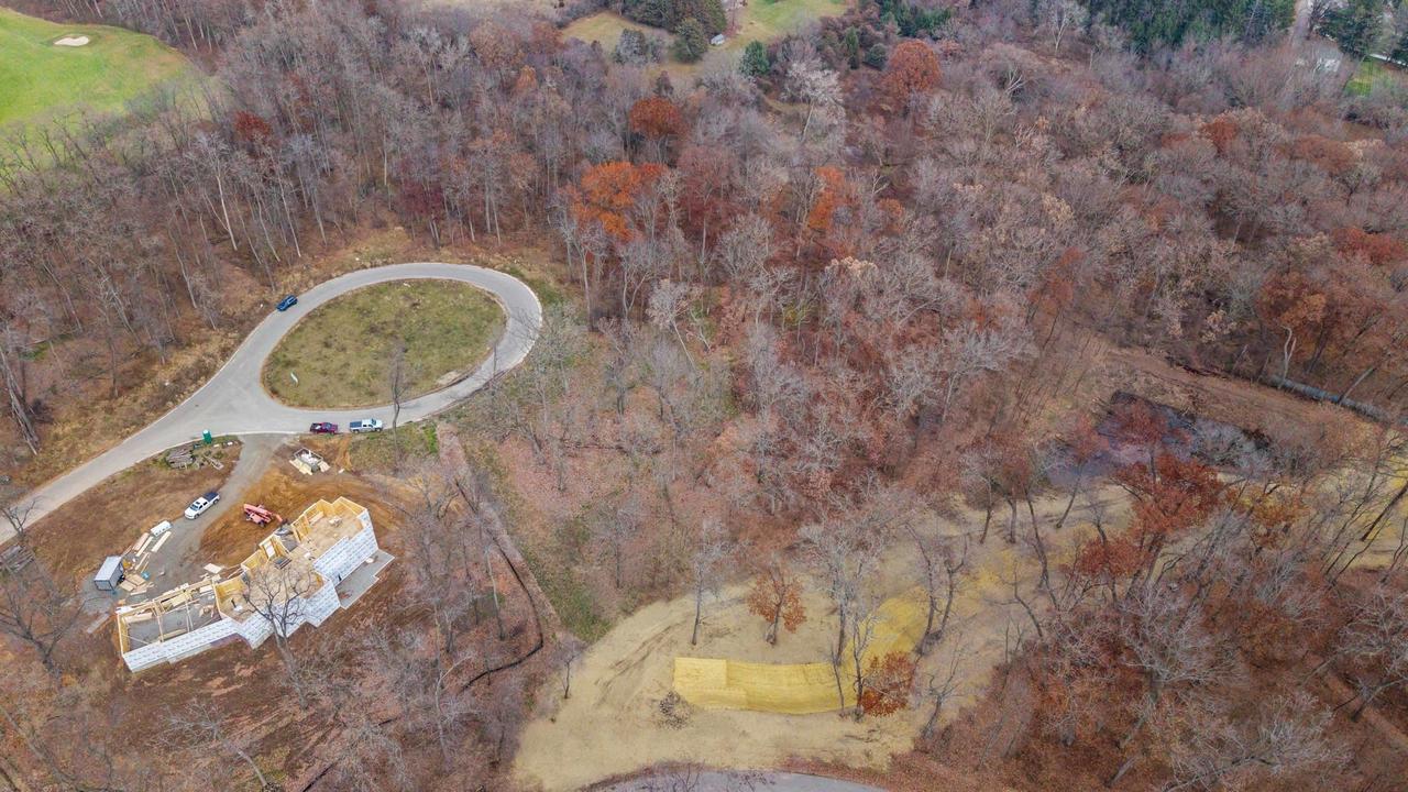 L46 & 47 Savanna Woodland