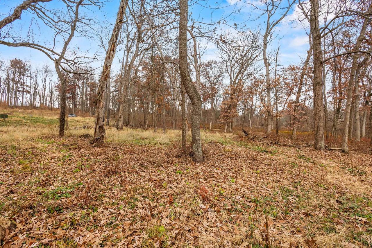 L46 & 47 Savanna Woodland