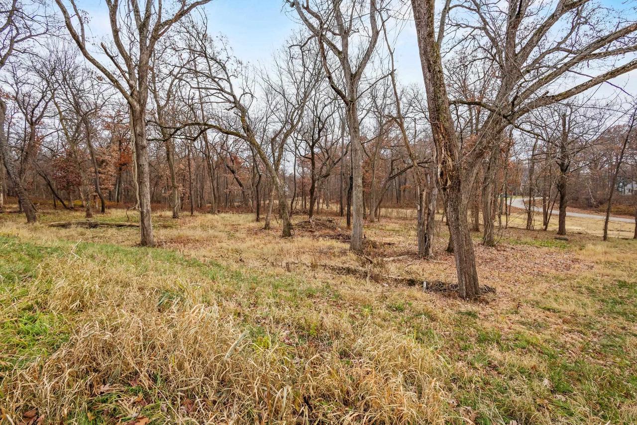 L46 & 47 Savanna Woodland