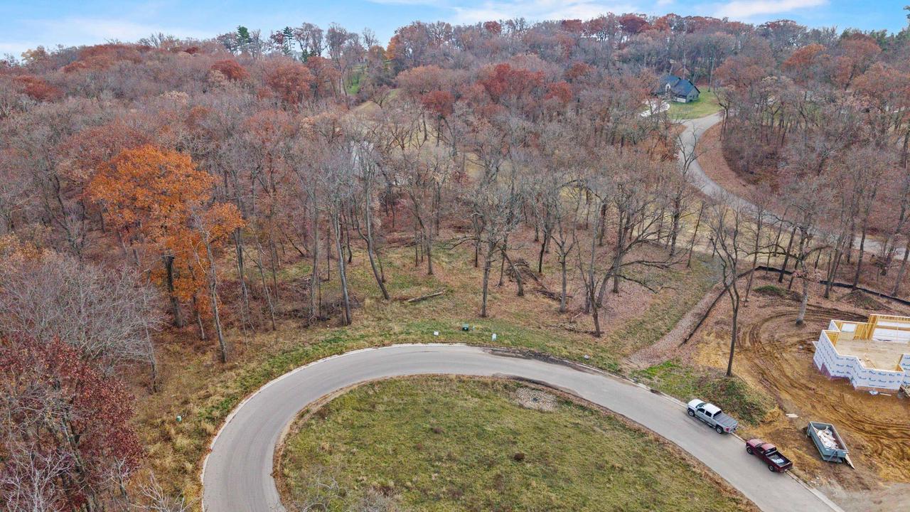 L46 & 47 Savanna Woodland