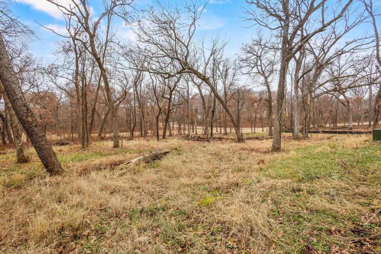 L46 & 47 Savanna Woodland