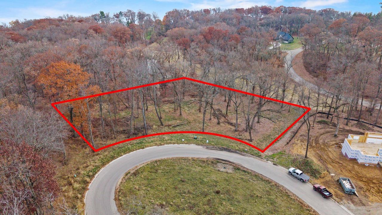 L46 & 47 Savanna Woodland