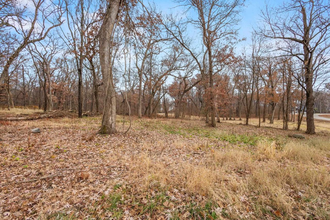 L46 & 47 Savanna Woodland