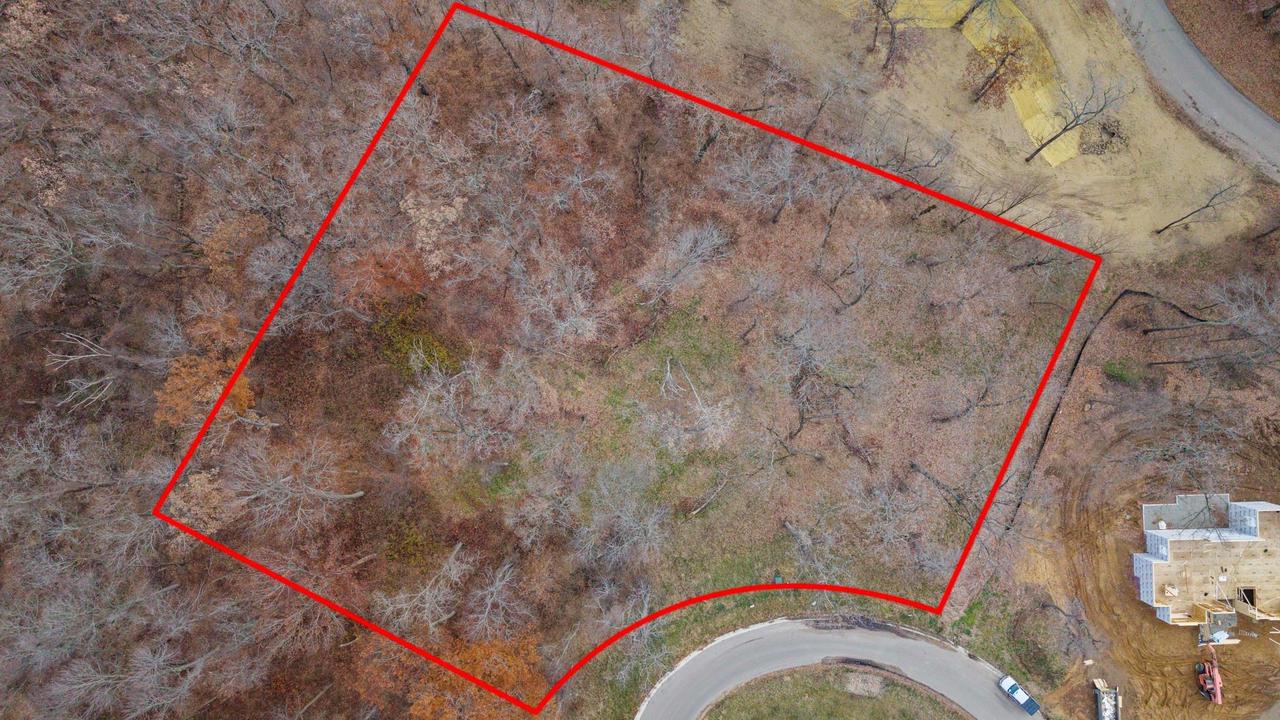 L46 & 47 Savanna Woodland