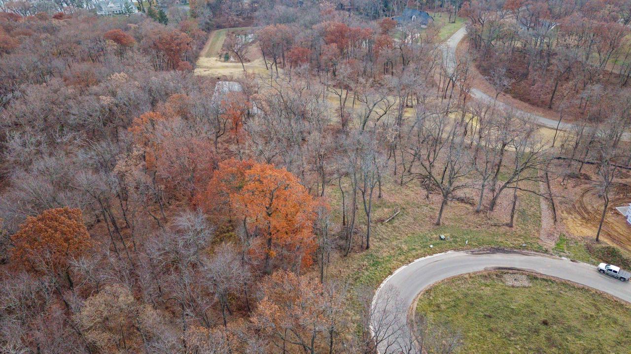 L46 & 47 Savanna Woodland