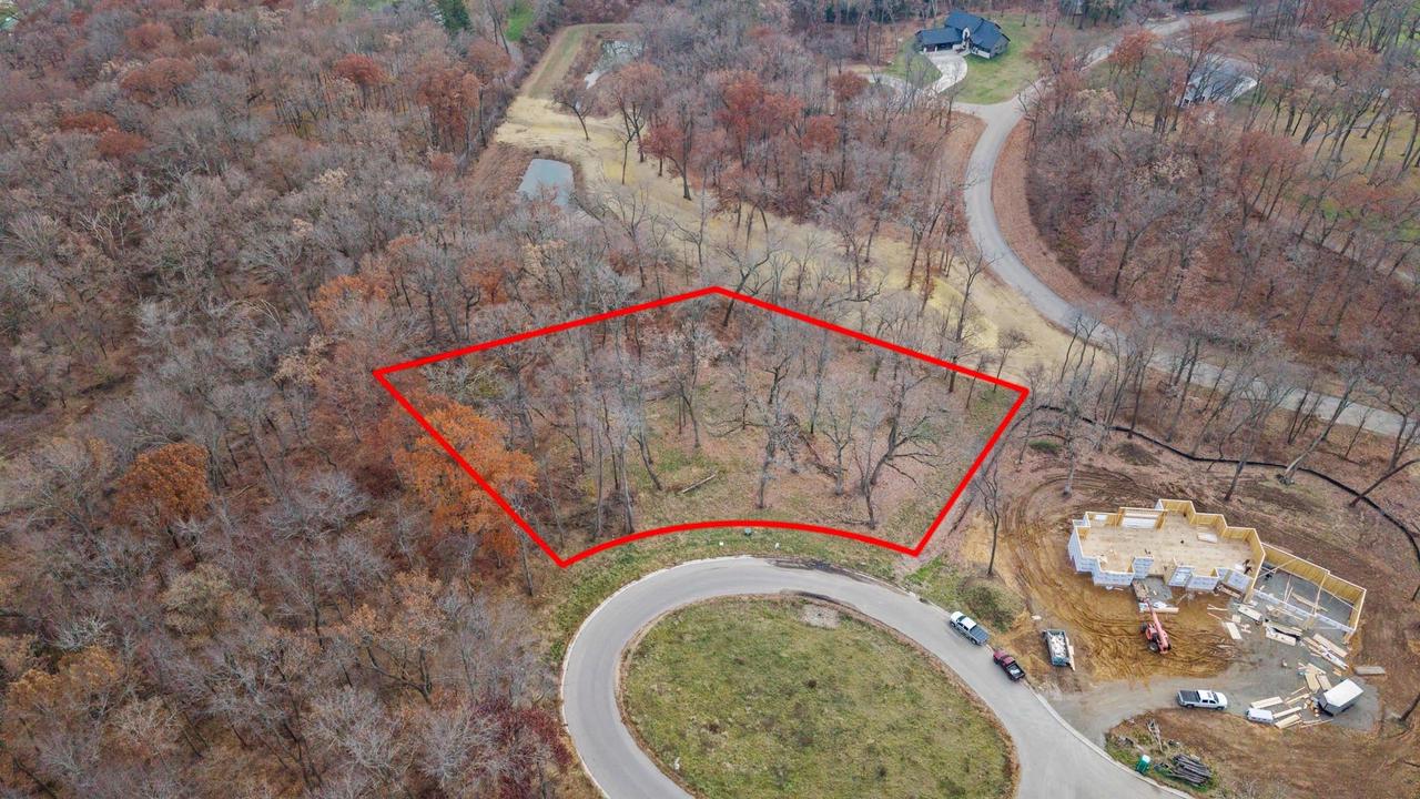 L46 & 47 Savanna Woodland