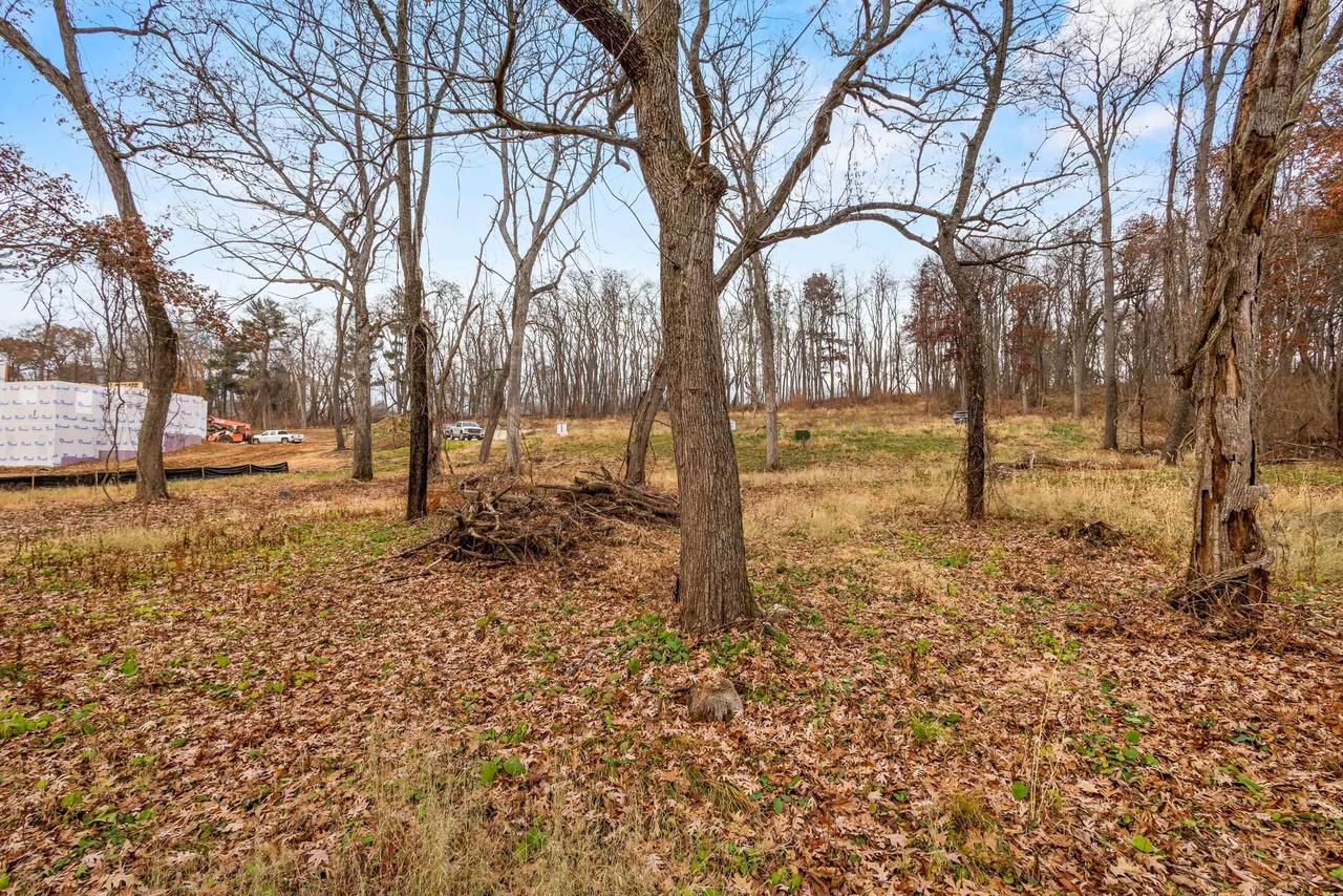 L46 & 47 Savanna Woodland