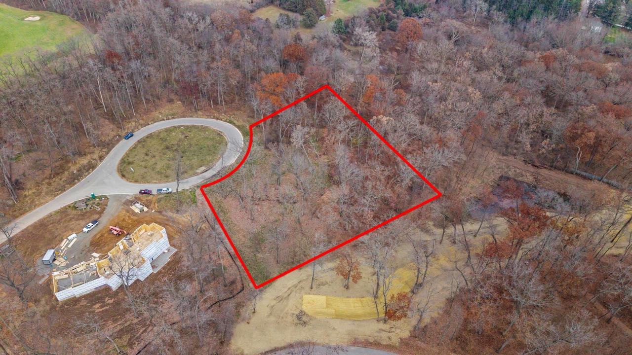 L46 & 47 Savanna Woodland