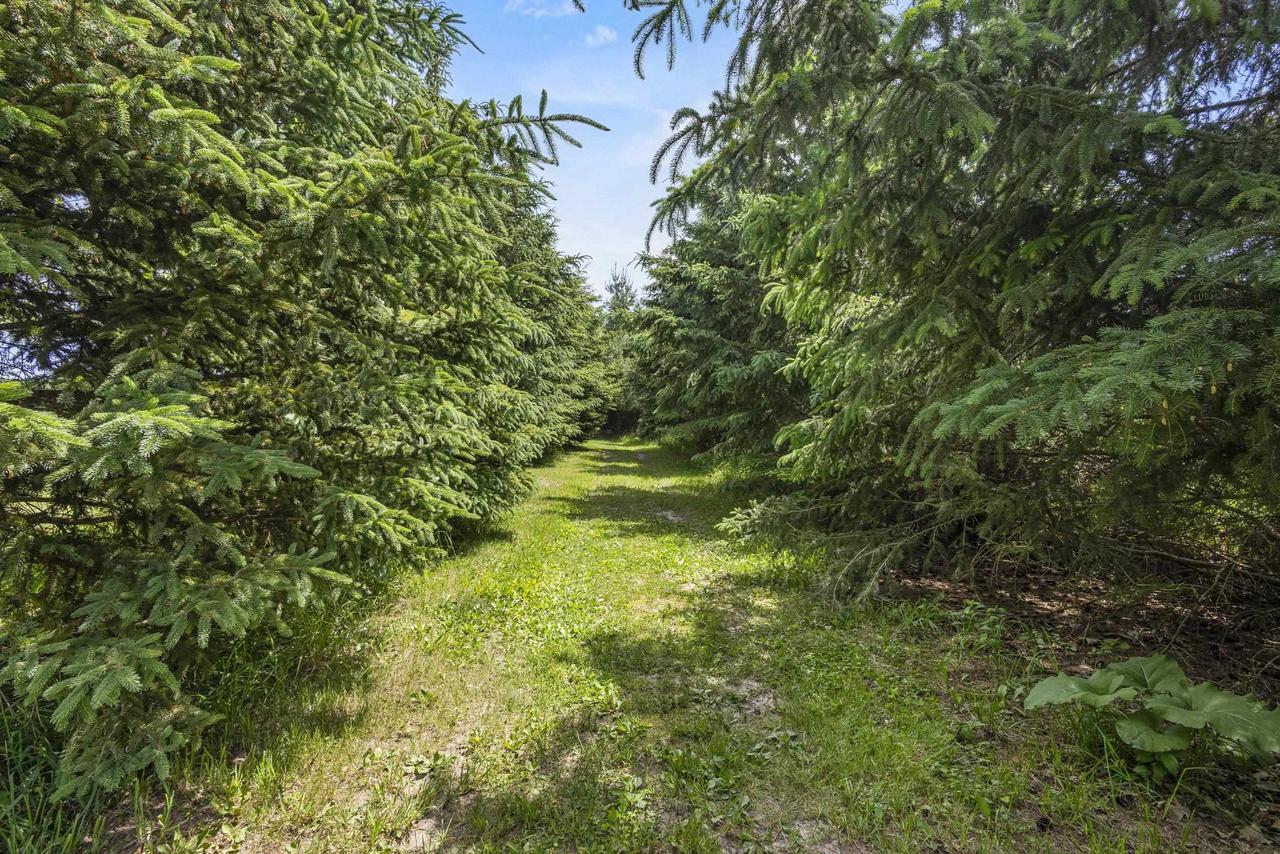 N7166 Forest Ridge Road