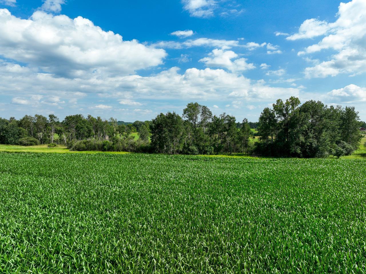 58 acres County J Road