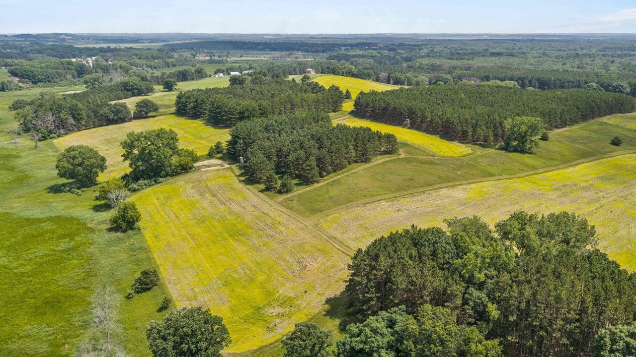 135 Acres Lueck Lane