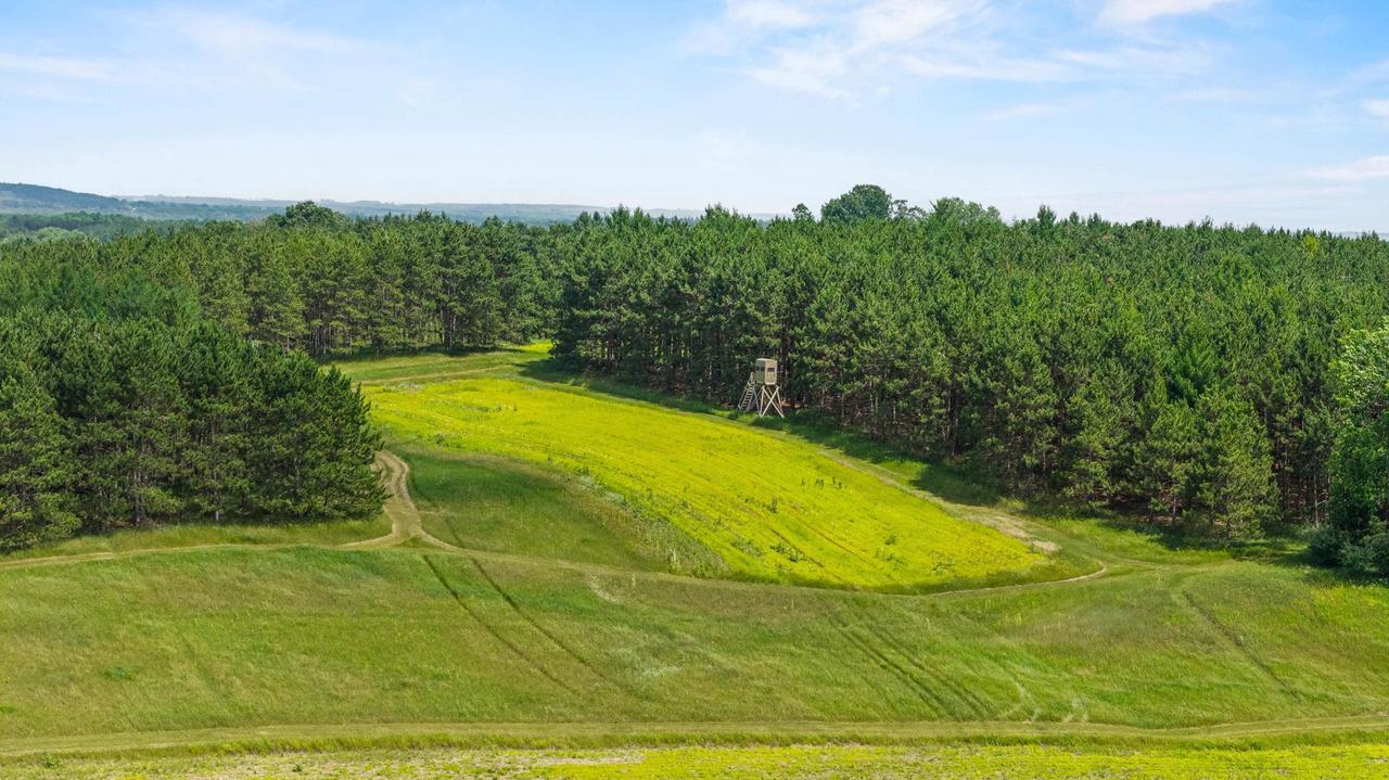 135 Acres Lueck Lane